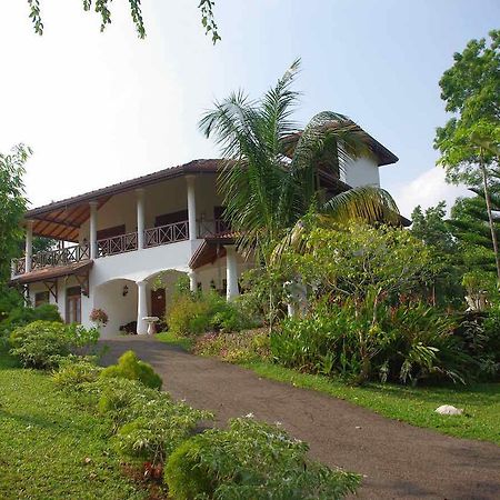 Shiny Hill Side Villa Hikkaduwa Exterior photo